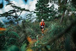 BIB: 
                            <button type="button" onclick="openModal(25259228)" class="btn btn-primary btn-sm float-right btn-popup" data-toggle="modal" data-target=".modal-high-quality">
                        <i class="fas fa-shopping-cart"></i> Add to Cart
                    </button>
                                            <button type="button" onclick="isThisMe(25259228, true)" class="btn btn-success btn-sm float-right btn-popup btn-isme hidden" data-toggle="tooltip" data-placement="bottom" title="นี่คือรูปของคุณใช่ไหม คลิกที่นี่เพื่อเอาเข้าอัลบั้ม">
                        <i class="fas fa-plus"></i> Add to album
                    </button>
                    <button type="button" onclick="isThisMe(25259228, false)" class="btn btn-warning btn-sm float-right btn-popup btn-isnotme hidden">
                        <i class="fas fa-ban"></i> Remove from album
                    </button>